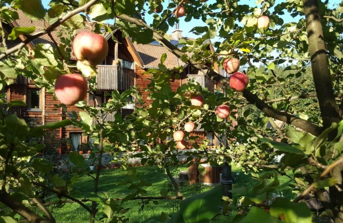 Fortuna Eco Boutique Hotel