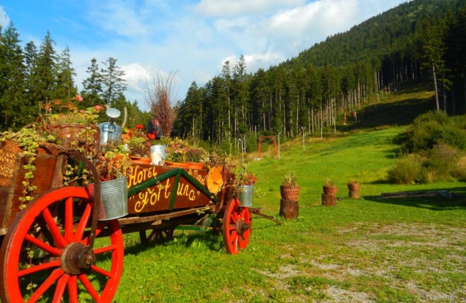 Fortuna Eco Boutique Hotel