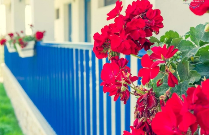 The Old Border Vama Veche