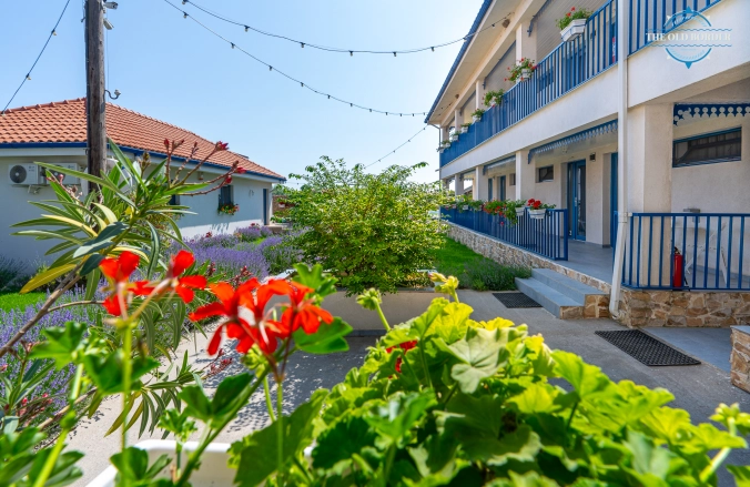 The Old Border Vama Veche