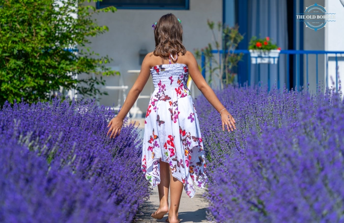 The Old Border Vama Veche